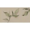 Rimura | Attraverso