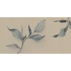 Rimura | Attraverso