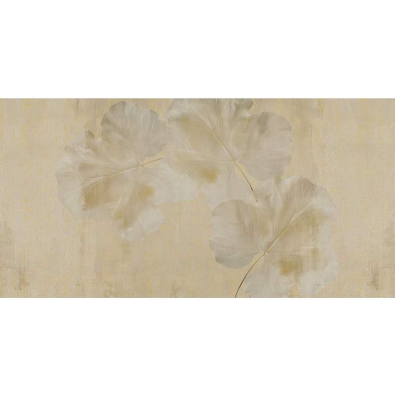 Rimura | Amber