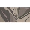 Rimura | Ribbon