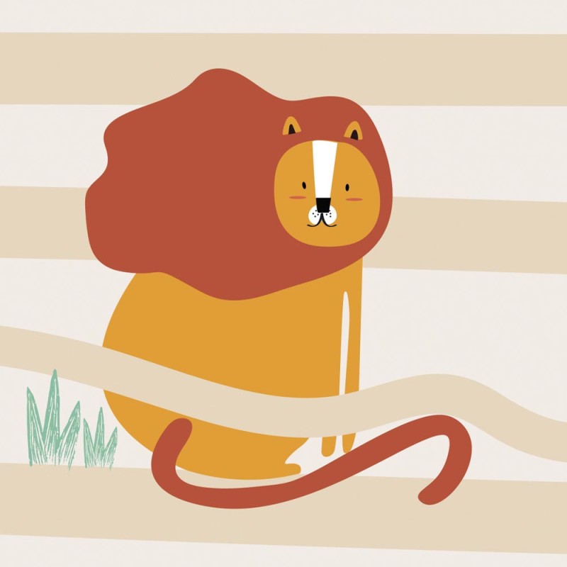 Rimura | Safari