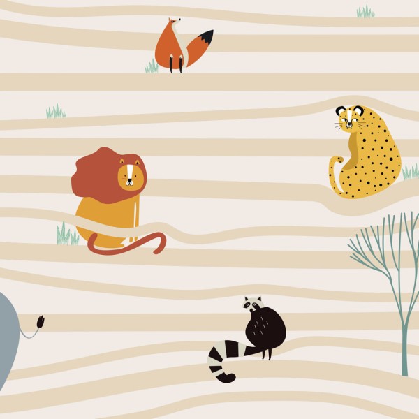 Rimura | Safari