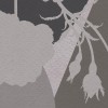 Rimura | Scenary