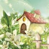 Rimura | Scintillio