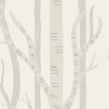 Rimura | Selva