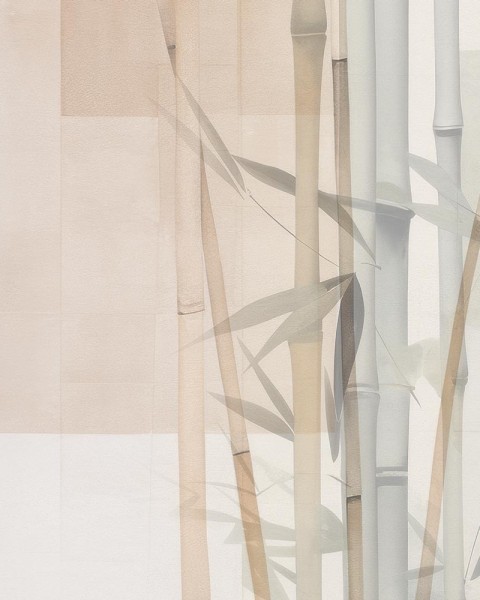 Rimura | Sensei Rimura | Sensei