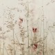 Rimura | Sera D’estate