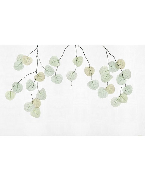 Rimura | Skeleton Leaf