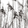 Rimura | Soldera