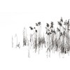 Rimura | Soldera