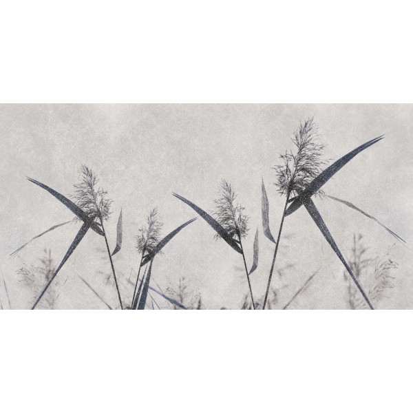 Rimura | Spiga