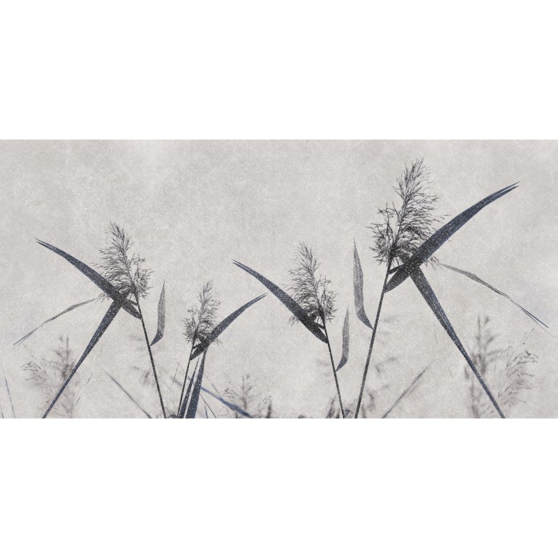 Rimura | Spiga