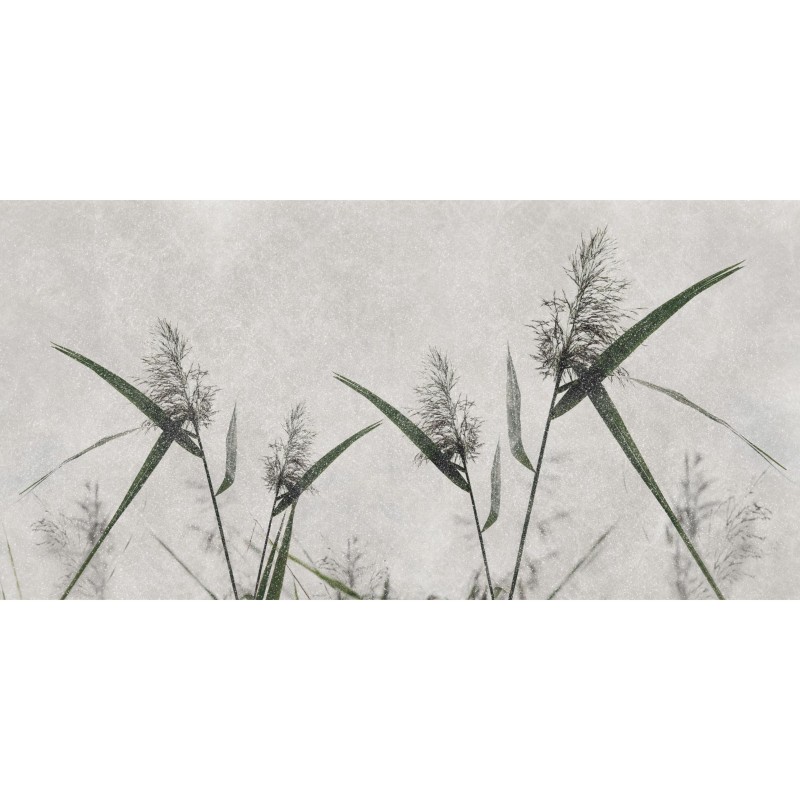 Rimura | Spiga