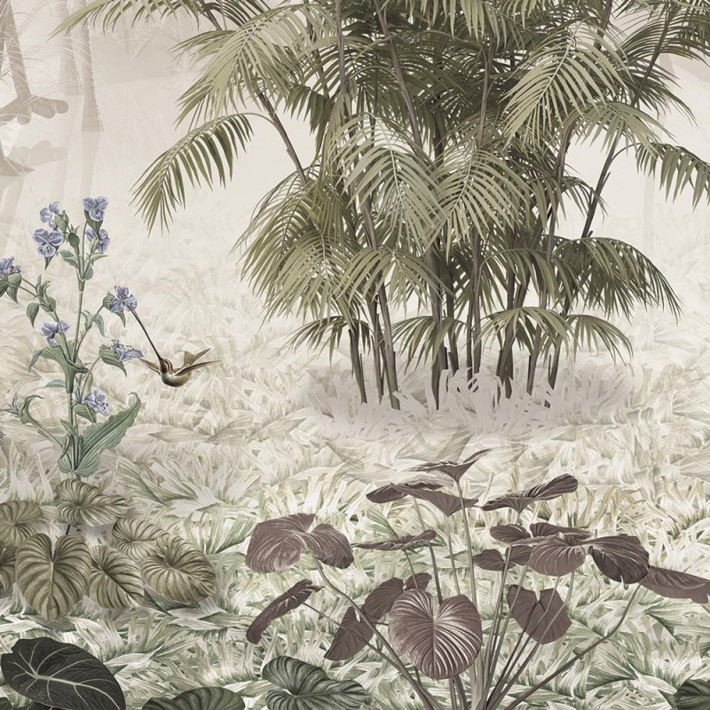 Rimura | Sumatra