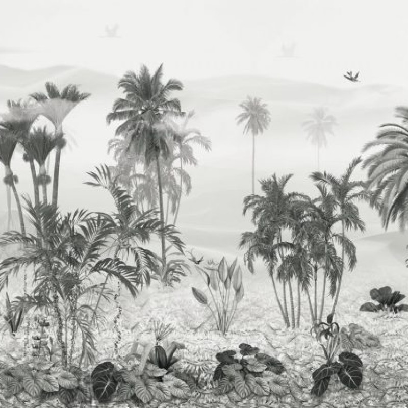 Rimura | Sumatra