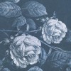 Rimura | Thorns