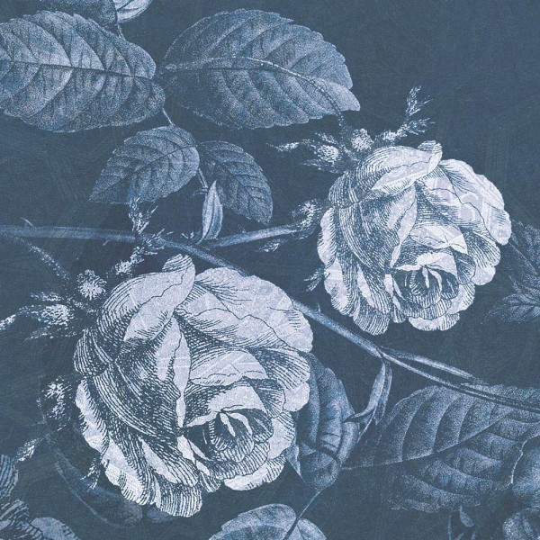 Rimura | Thorns