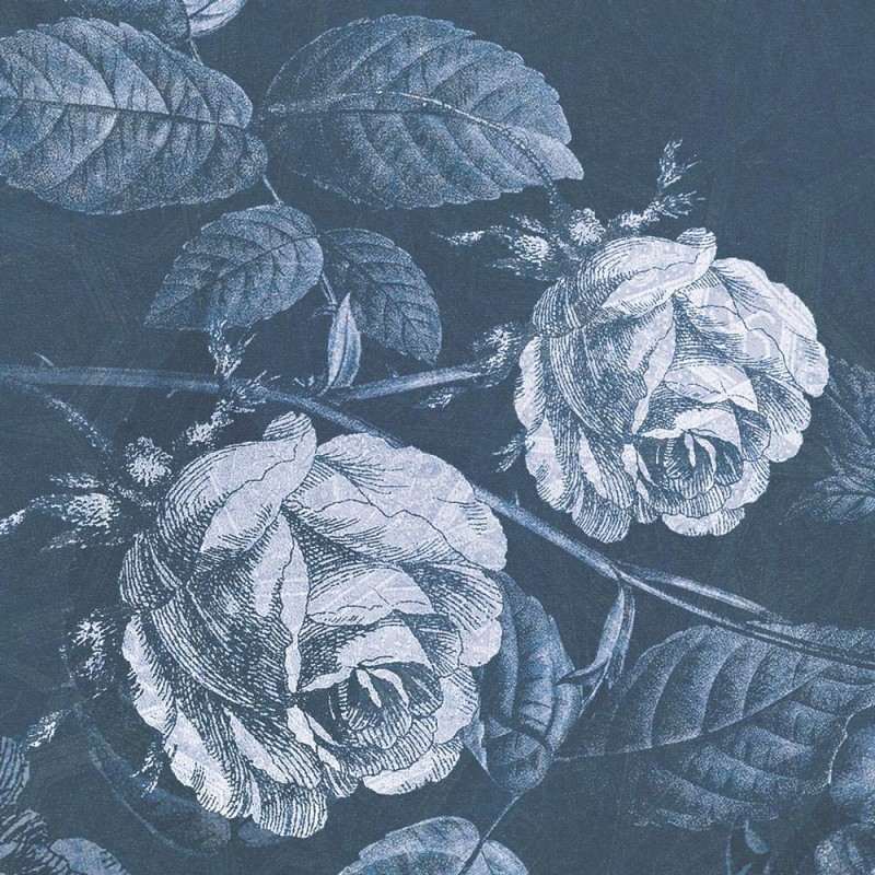 Rimura | Thorns