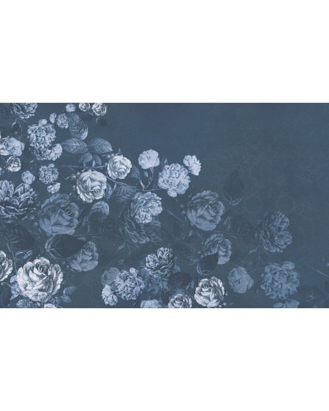 Rimura | Thorns