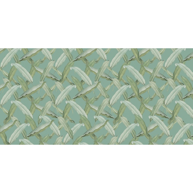 Rimura | Tongass 