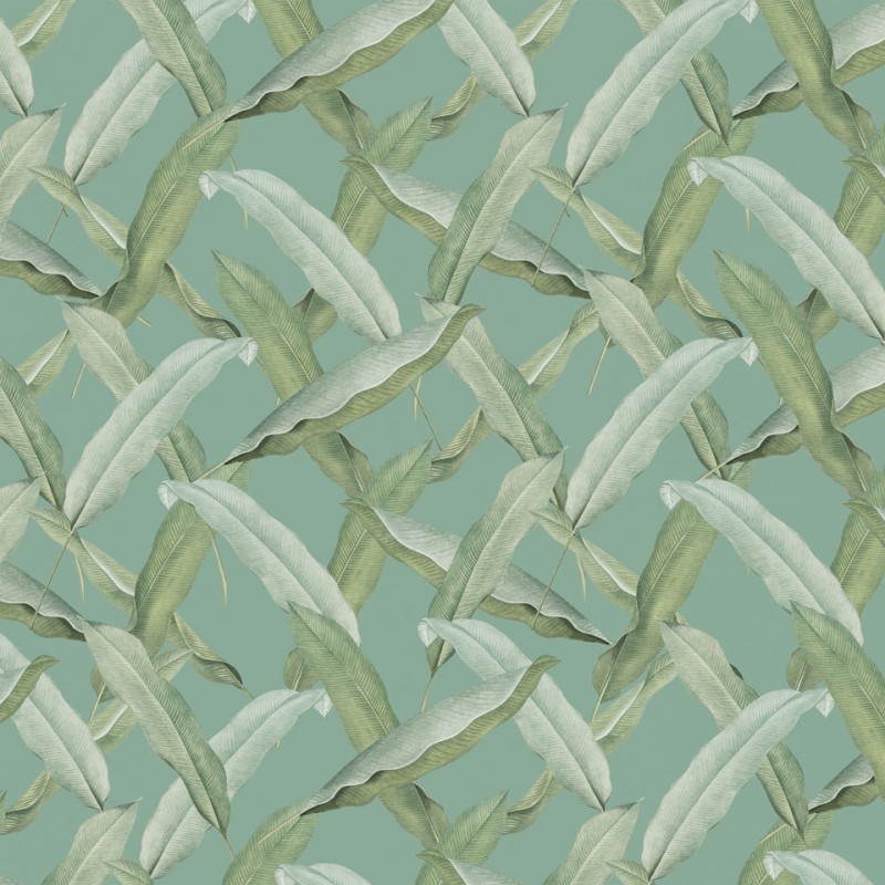 Rimura | Tongass 