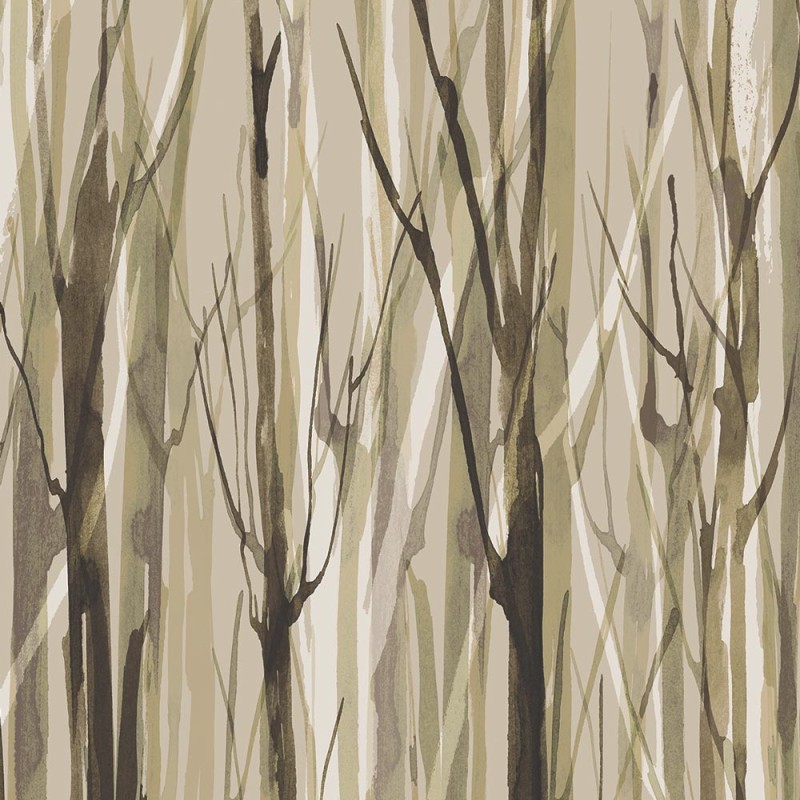 Rimura | Enchanted Forest