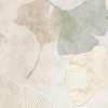 Rimura | Triumph