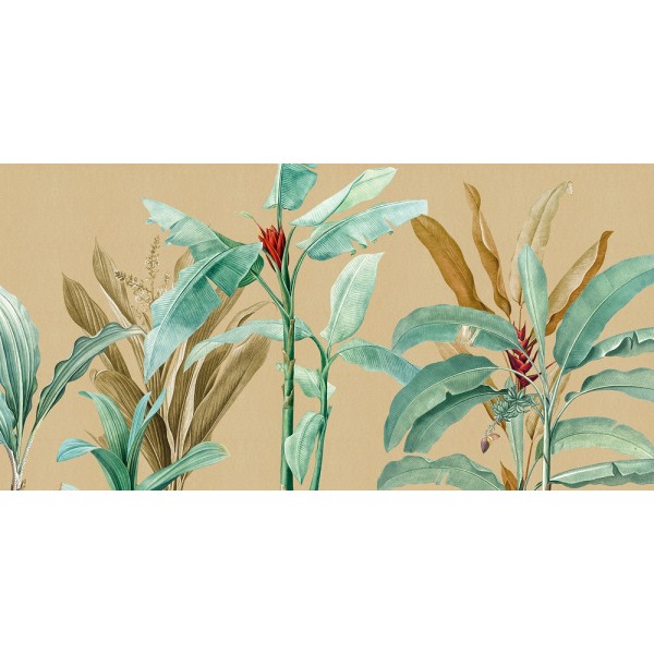 Rimura | Tropical
