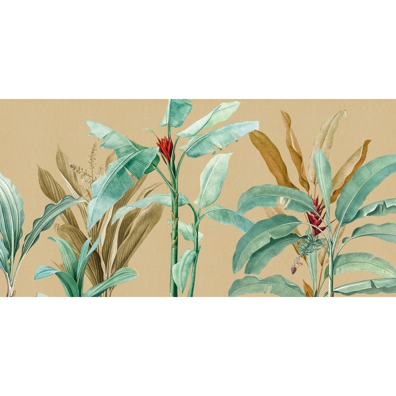 Rimura | Tropical