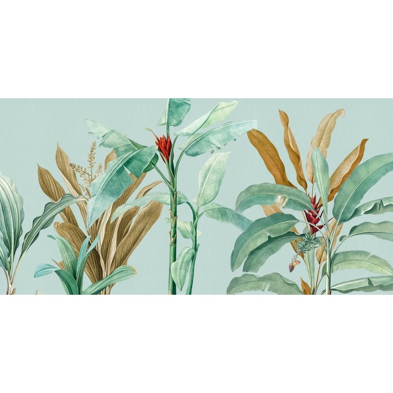 Rimura | Tropical