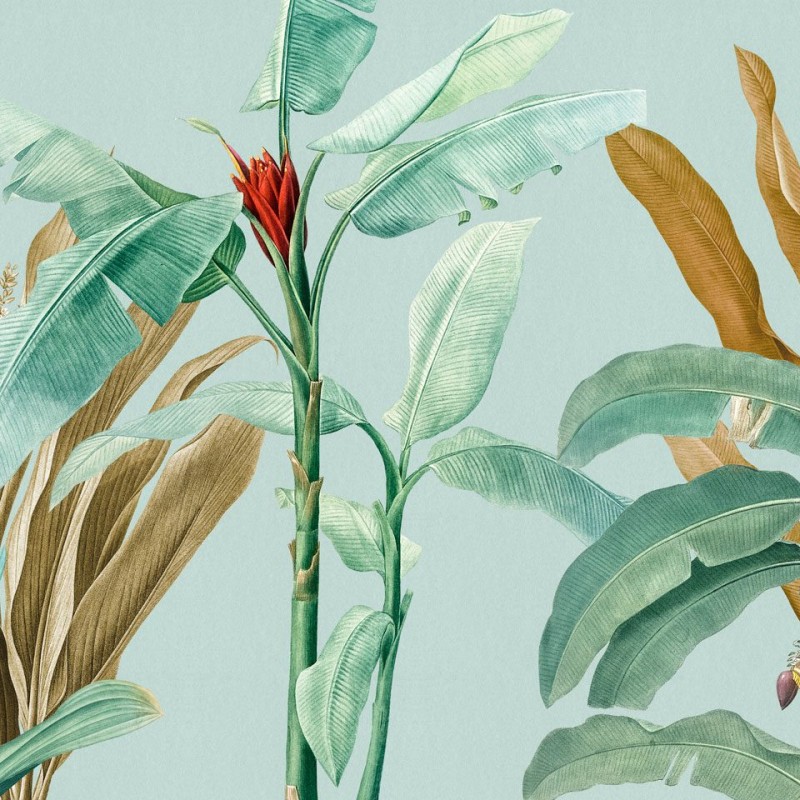 Rimura | Tropical
