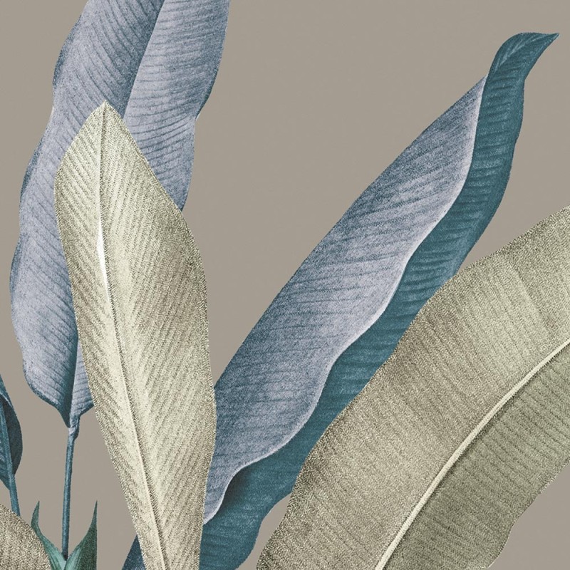Rimura | Tropical