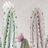 Rimura | Tucson