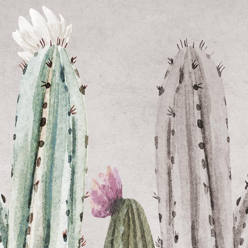 Rimura | Tucson