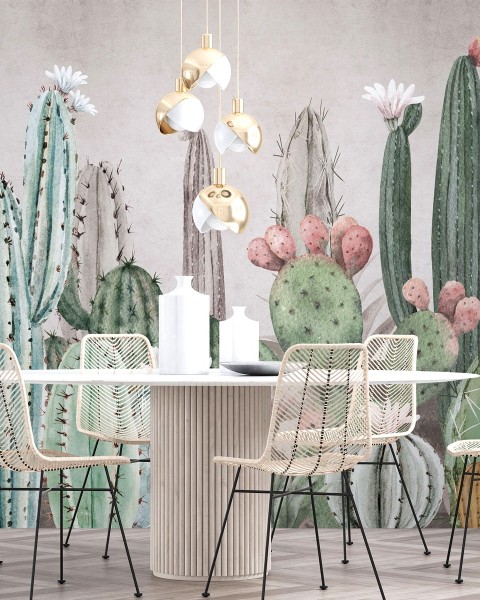 Rimura | Tucson