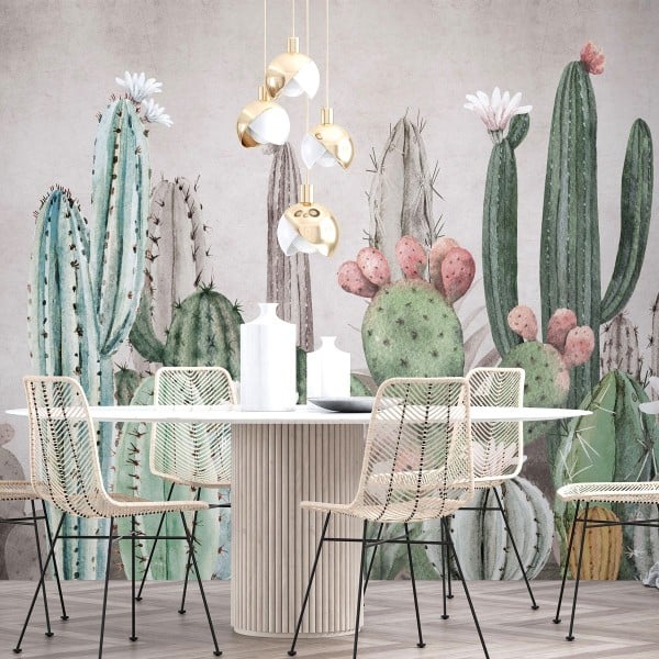 Rimura | Tucson