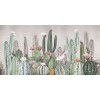 Rimura | Tucson