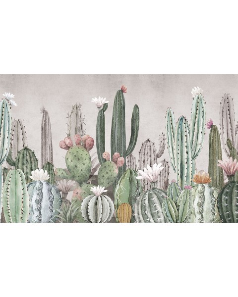 Rimura | Tucson