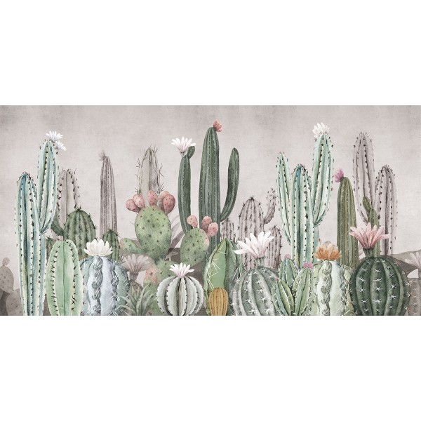 Rimura | Tucson