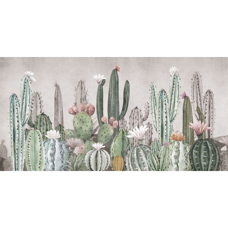 Rimura | Tucson