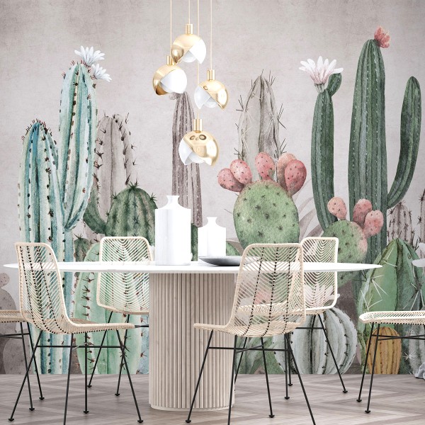 Rimura | Tucson