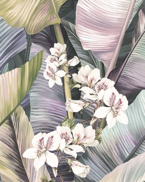 Rimura | Venature Tropicali