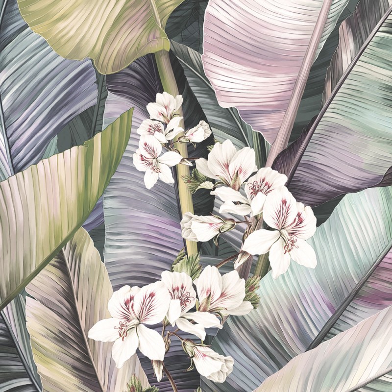 Rimura | Venature Tropicali