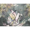 Rimura | Venature Tropicali