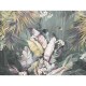 Rimura | Venature Tropicali