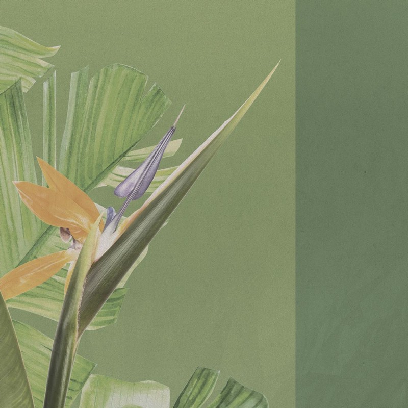 Rimura | Vertical Green