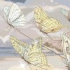 Rimura | Volo Notturno