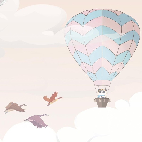 Rimura | Volo Panoramico