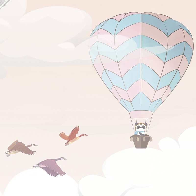 Rimura | Volo Panoramico