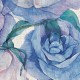 Rimura | Watercolor Roses